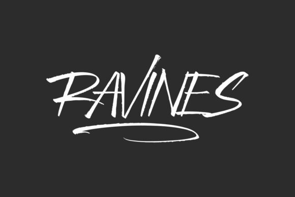 Ravines Brushed Display Font for Handmade Brands